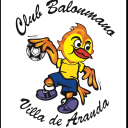 Logo Equipo Blasgon Bodegas Ceres Villa de Aranda