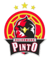 Club Balonmano Pinto