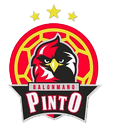 Club Balonmano Pinto