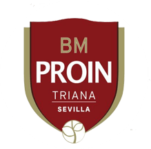Logo Balonmano Proin Triana