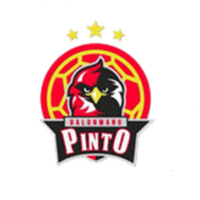 Grupo Egido BM Pinto
