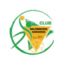 Balonmano Camargo